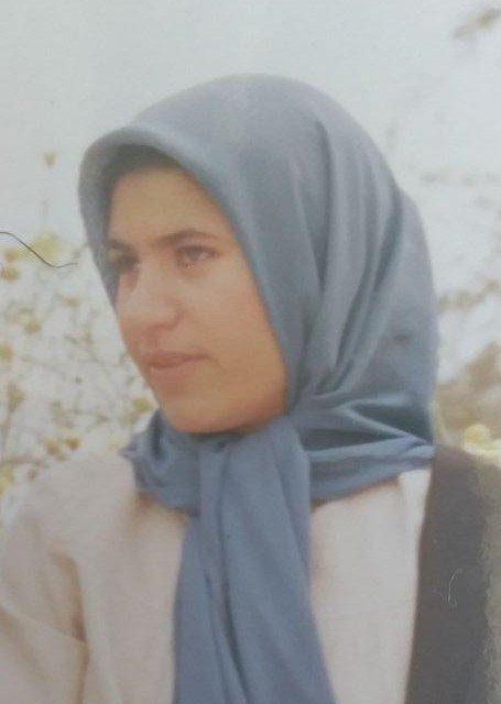 گرگ اگر با تو نماید روبهی، هین مکن باور که ناید روبهی، از: جواد قلاوند