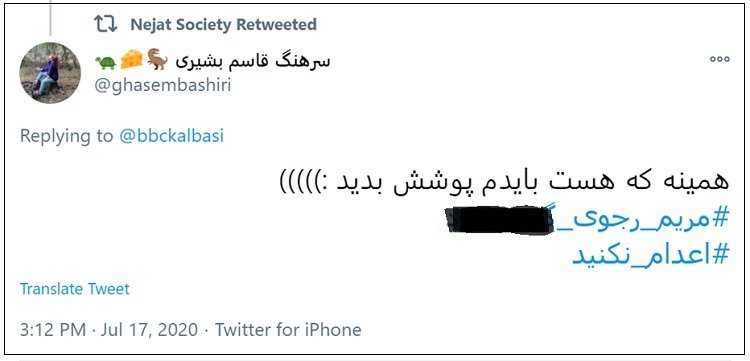 کارگردانی لجن‌پراکنی علیه مریم رجوی، درسپاه پاسداران و وزارت منفور اطلاعات خامنه ای، قسمت سوم گزارش شرکت امنیت سایبری تردستون۷۱